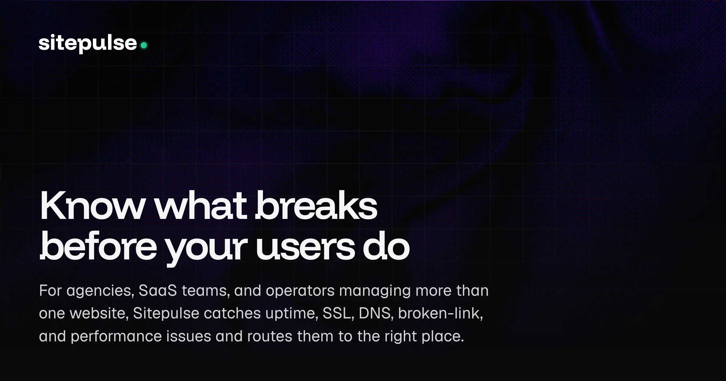 Sitepulse image number 01