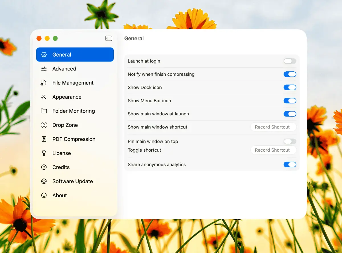 Compresto image number 21