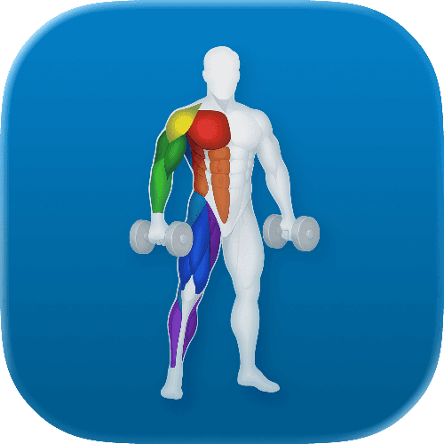 VigiGym - Workout Tracker